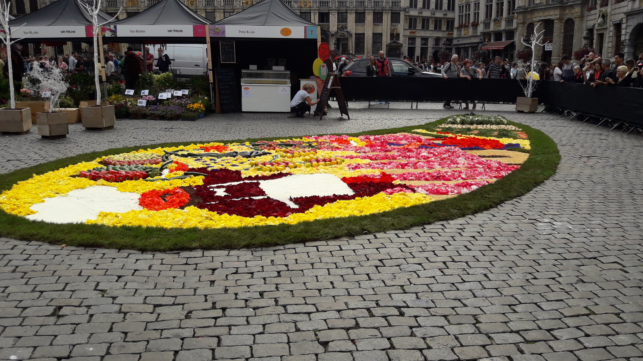 Flower Time, Brussels 2017