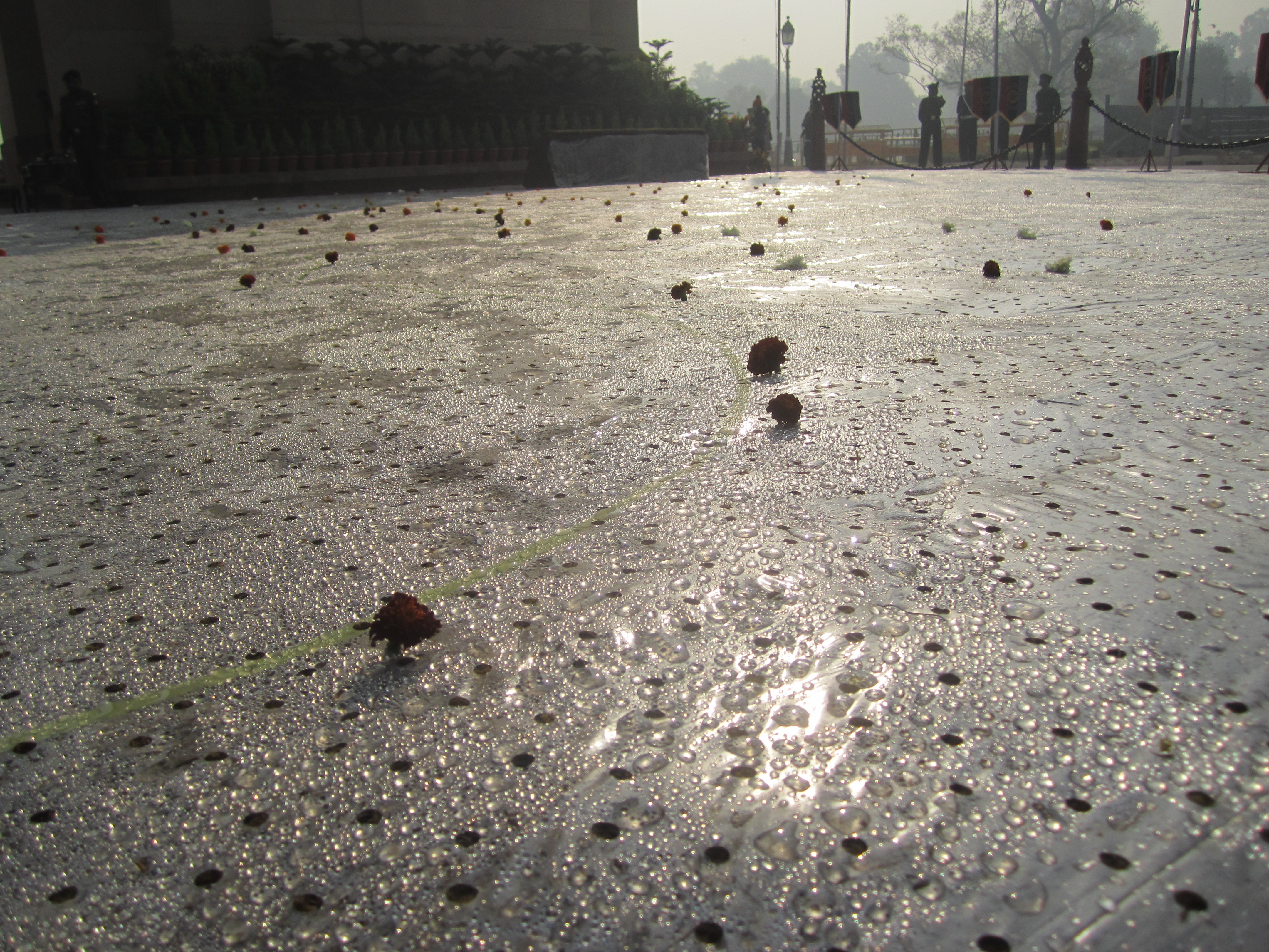 India, 2013