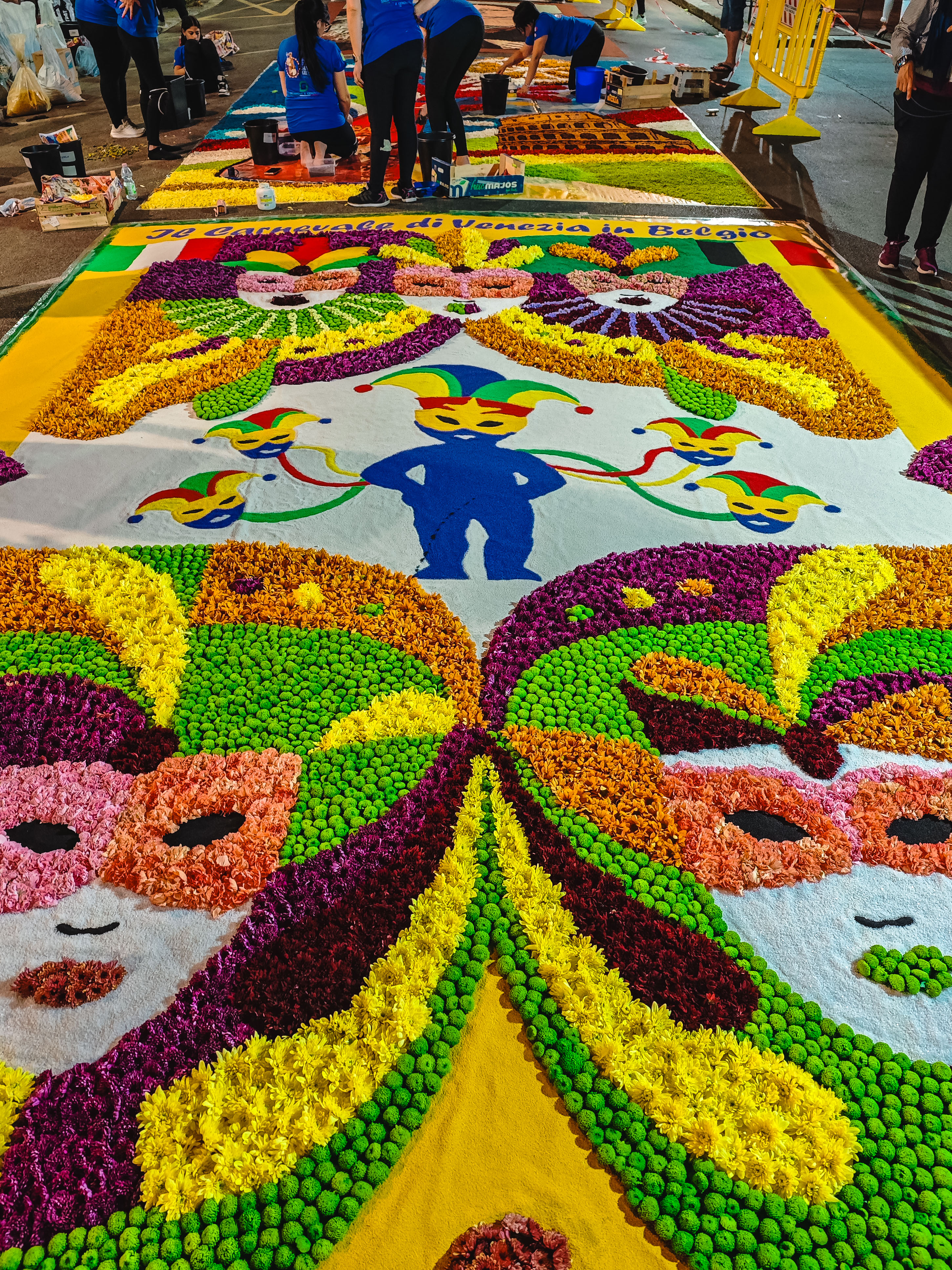 Flowers from Belgium