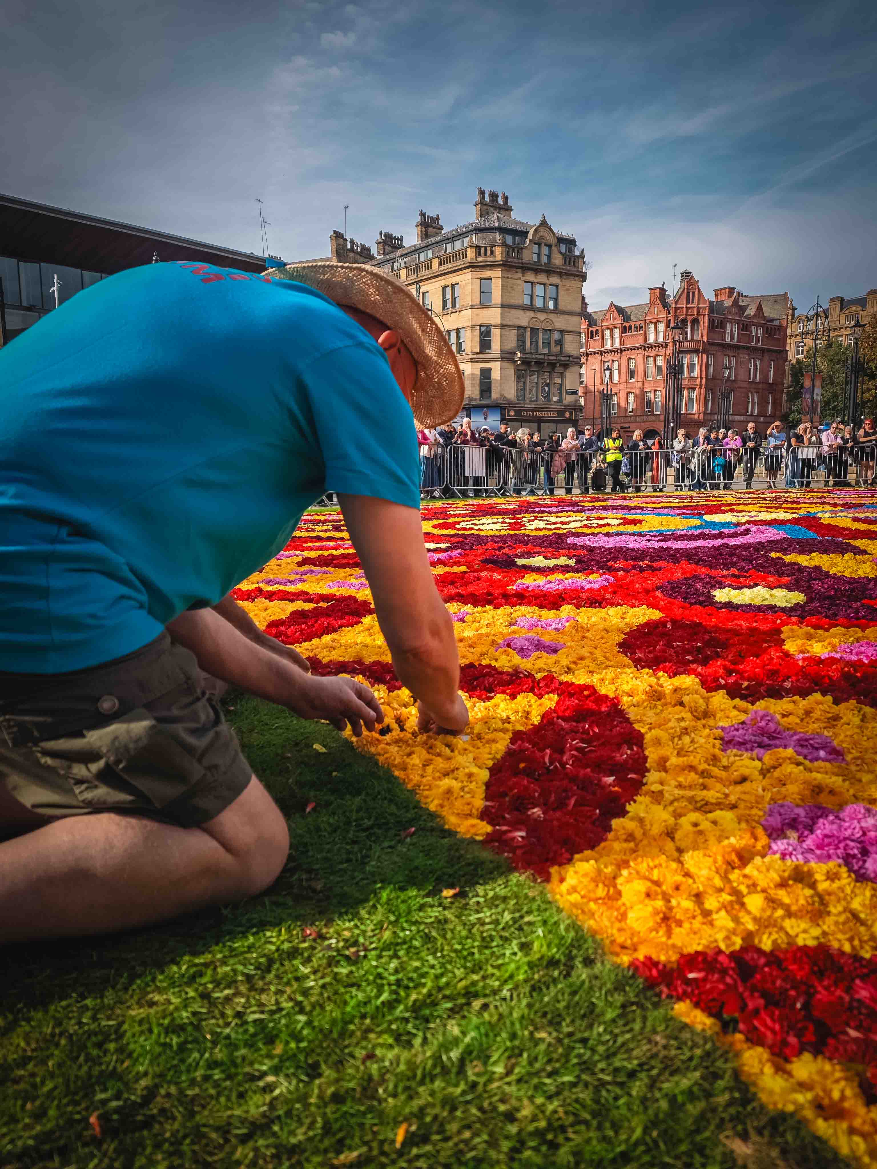Flowers from Belgium