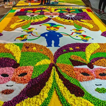 Flowers from Belgium