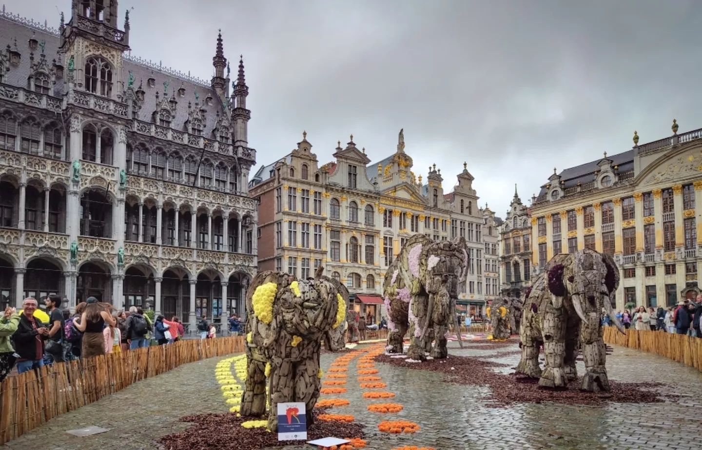 Flowers from Belgium